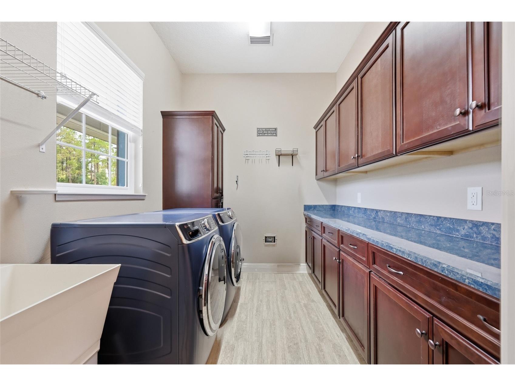 35620 Pinegate Trail Eustis FL 32736 O6408470 image53