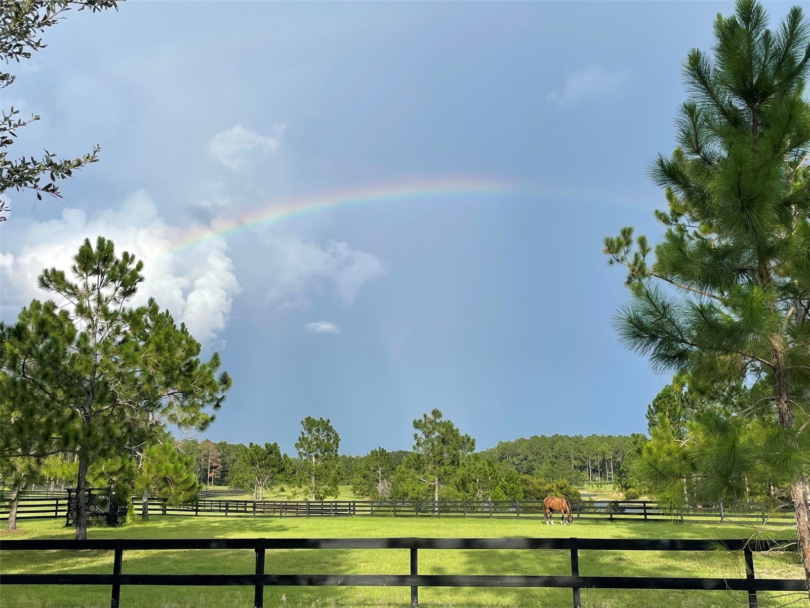 35620 Pinegate Trail Eustis FL 32736 O6408470 image95
