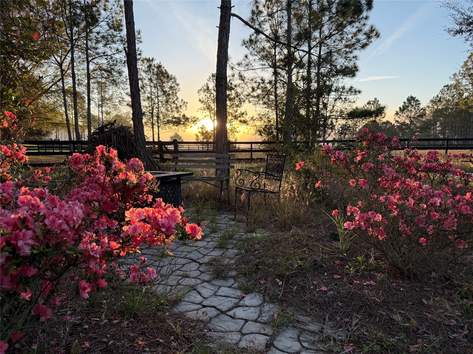 35620 Pinegate Trail Eustis FL 32736 O6408470 image97