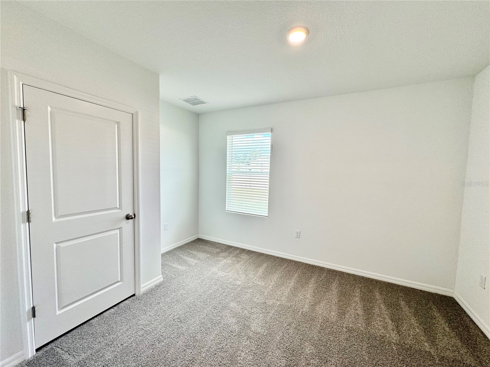 35629 Kinsey Point Zephyrhills FL 33541 TB8491343 image24
