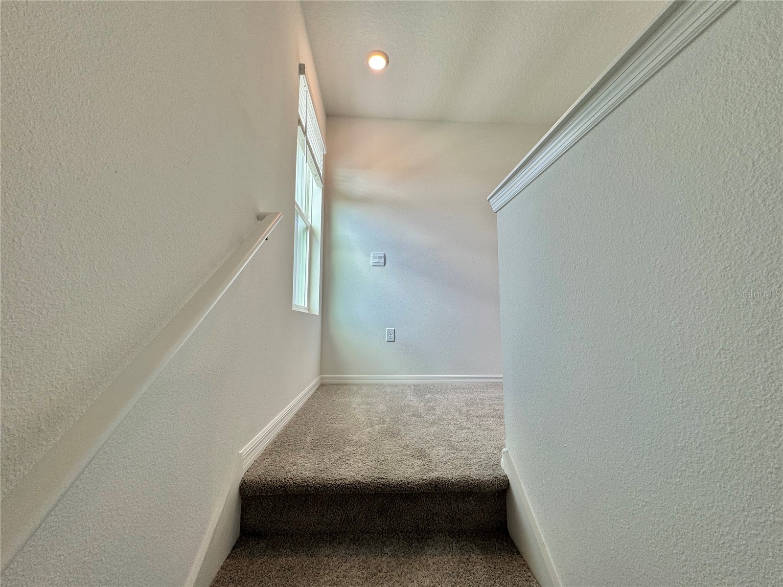 35629 Kinsey Point Zephyrhills FL 33541 TB8491343 image38