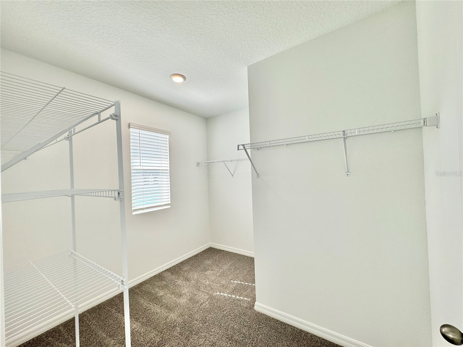 35629 Kinsey Point Zephyrhills FL 33541 TB8491343 image51