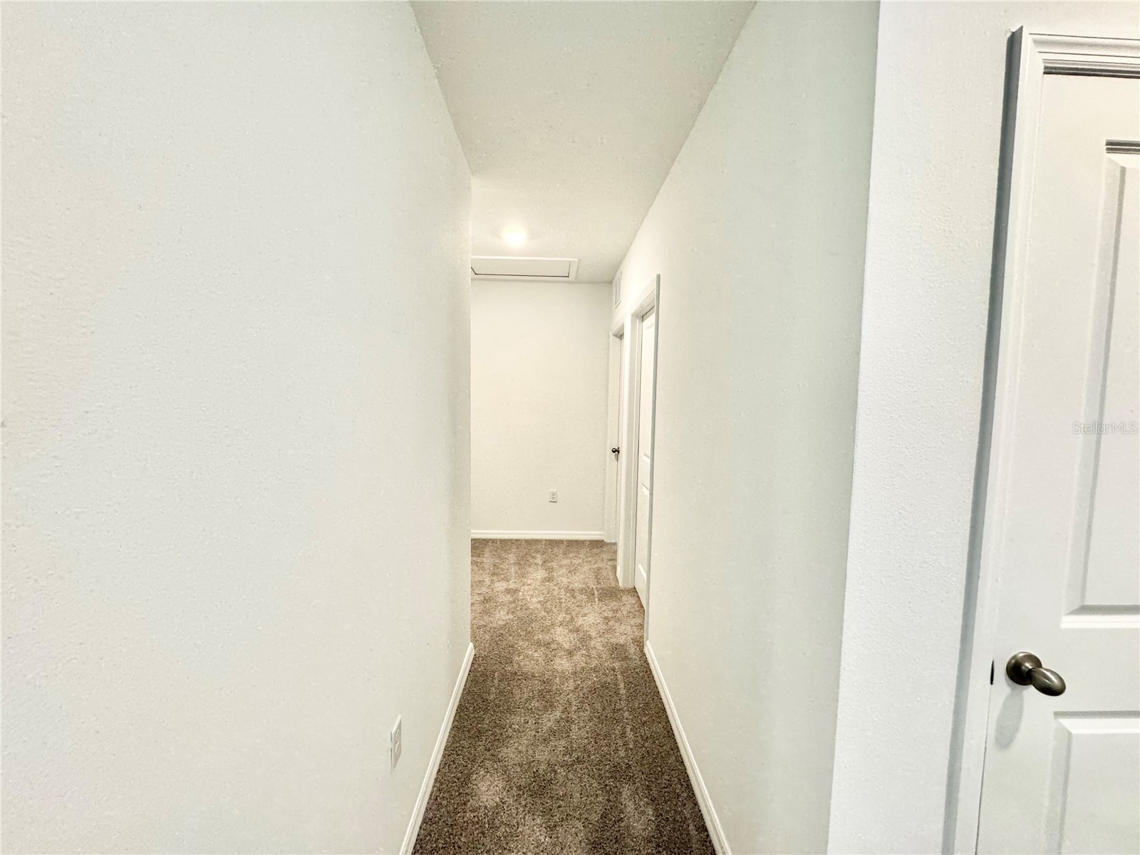 35629 Kinsey Point Zephyrhills FL 33541 TB8491343 image68