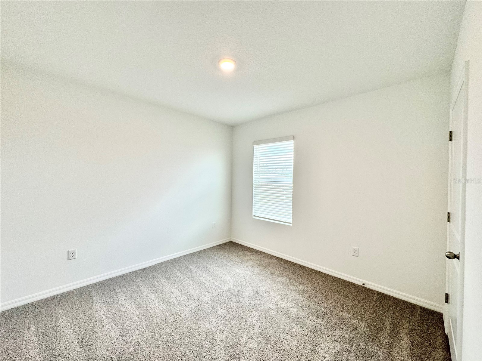 35629 Kinsey Point Zephyrhills FL 33541 TB8491343 image72