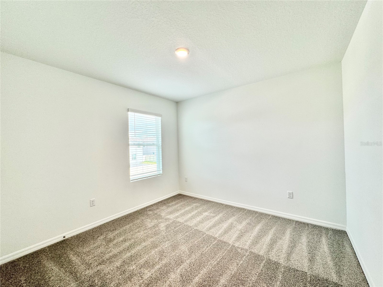 35629 Kinsey Point Zephyrhills FL 33541 TB8491343 image75