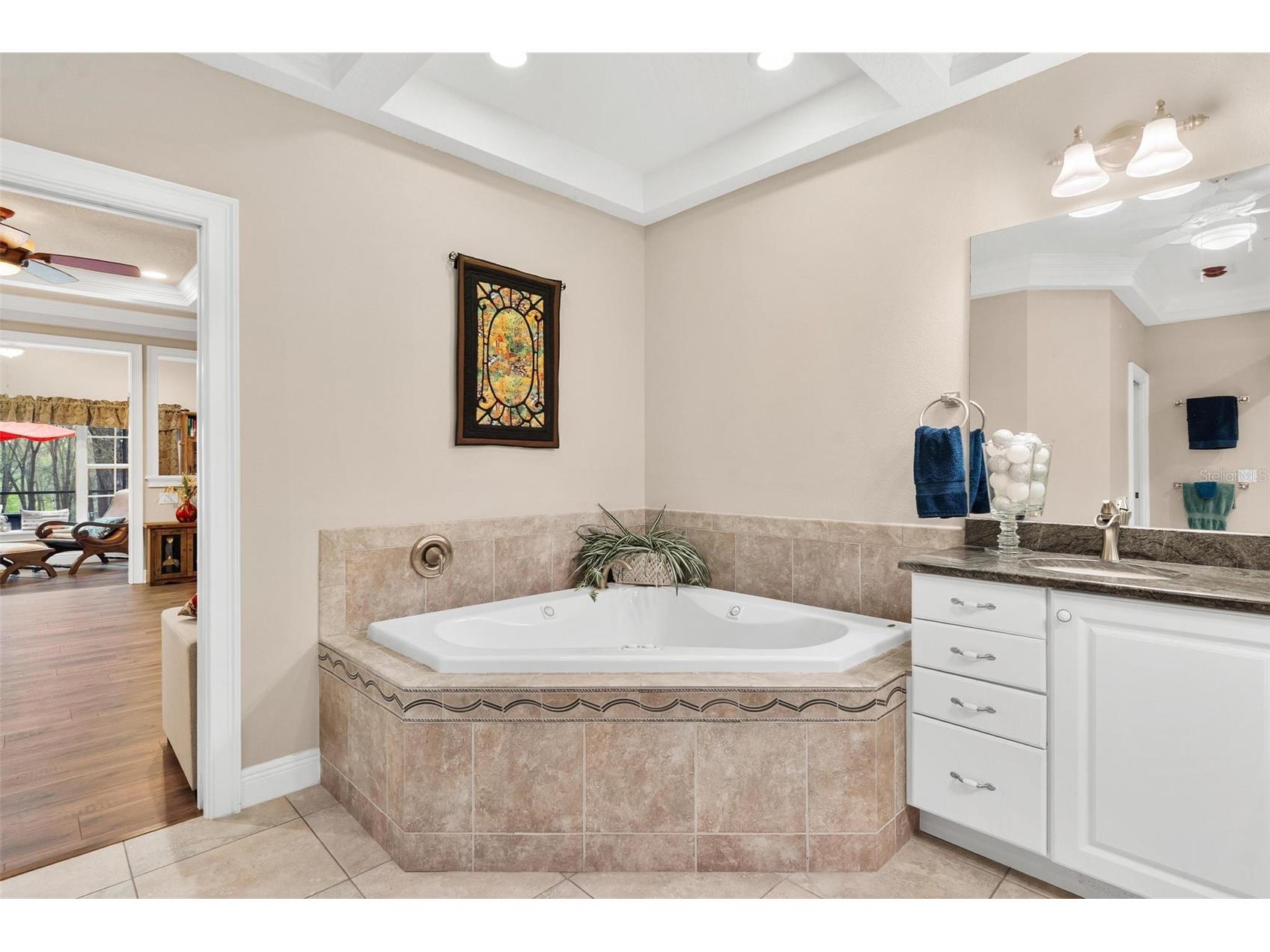 35629 Seneca Reserve Drive Eustis FL 32736 - SENECA G5109600 image40