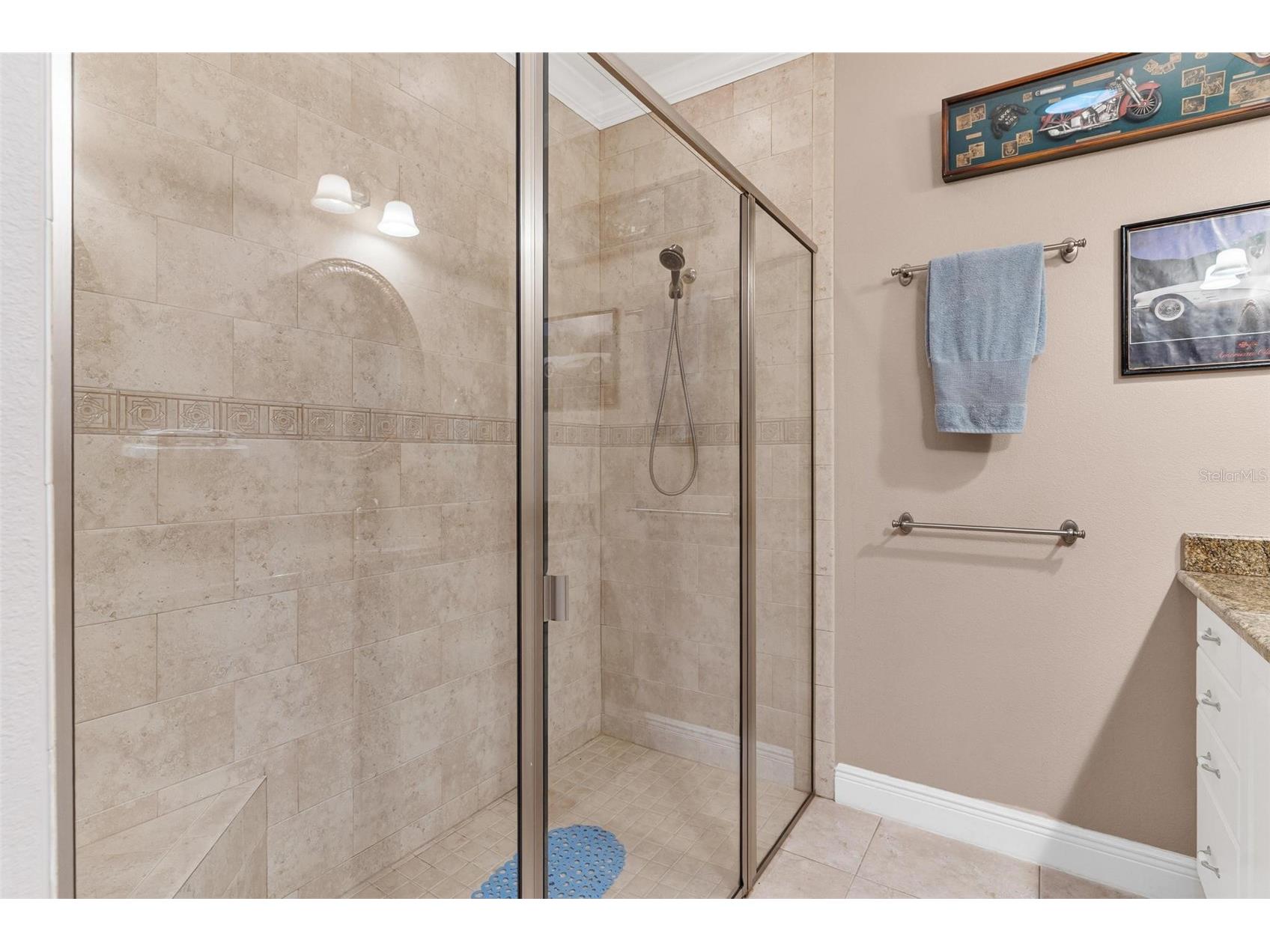 35629 Seneca Reserve Drive Eustis FL 32736 - SENECA G5109600 image51