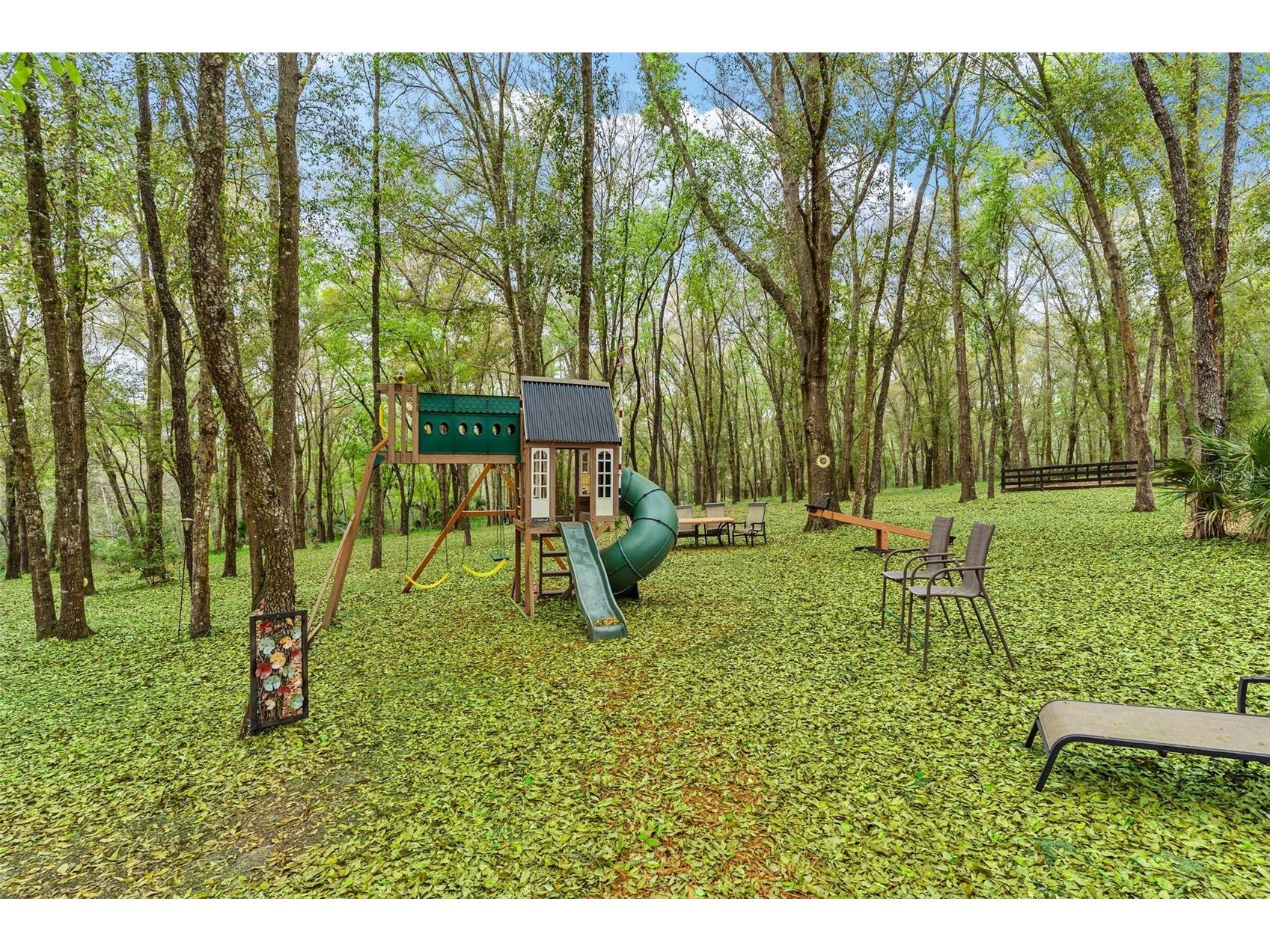 35629 Seneca Reserve Drive Eustis FL 32736 - SENECA G5109600 image69