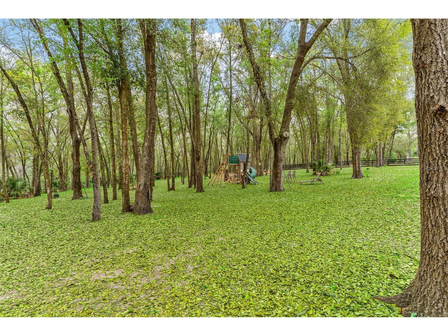 35629 Seneca Reserve Drive Eustis FL 32736 - SENECA G5109600 image70