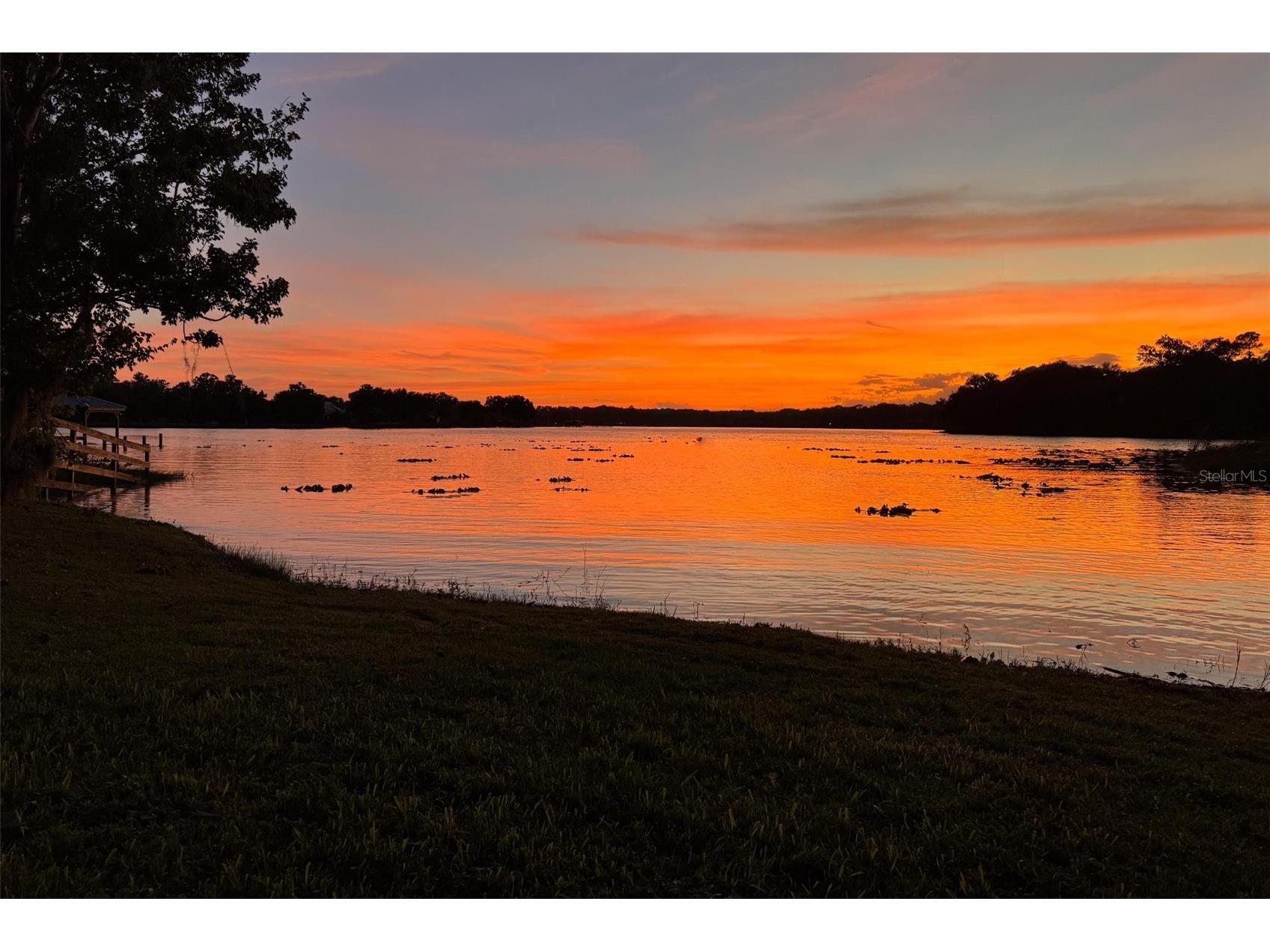 35629 Seneca Reserve Drive Eustis FL 32736 - SENECA G5109600 image83