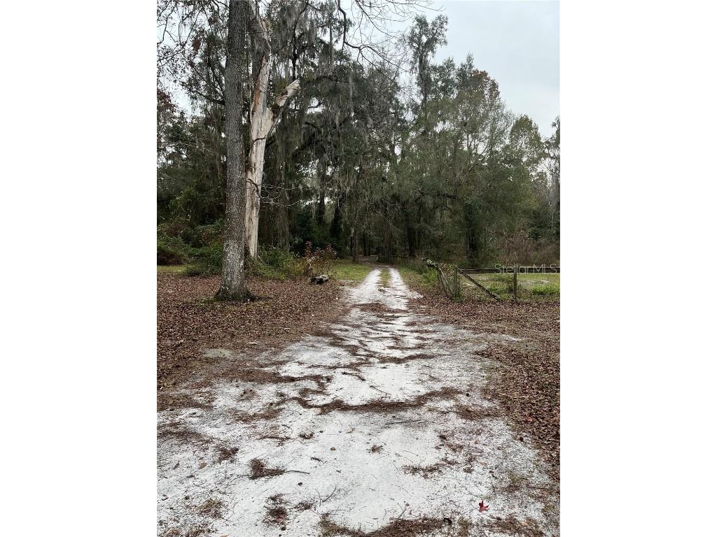 3563 NE 138th Place Anthony FL 32617 OM670959 image1