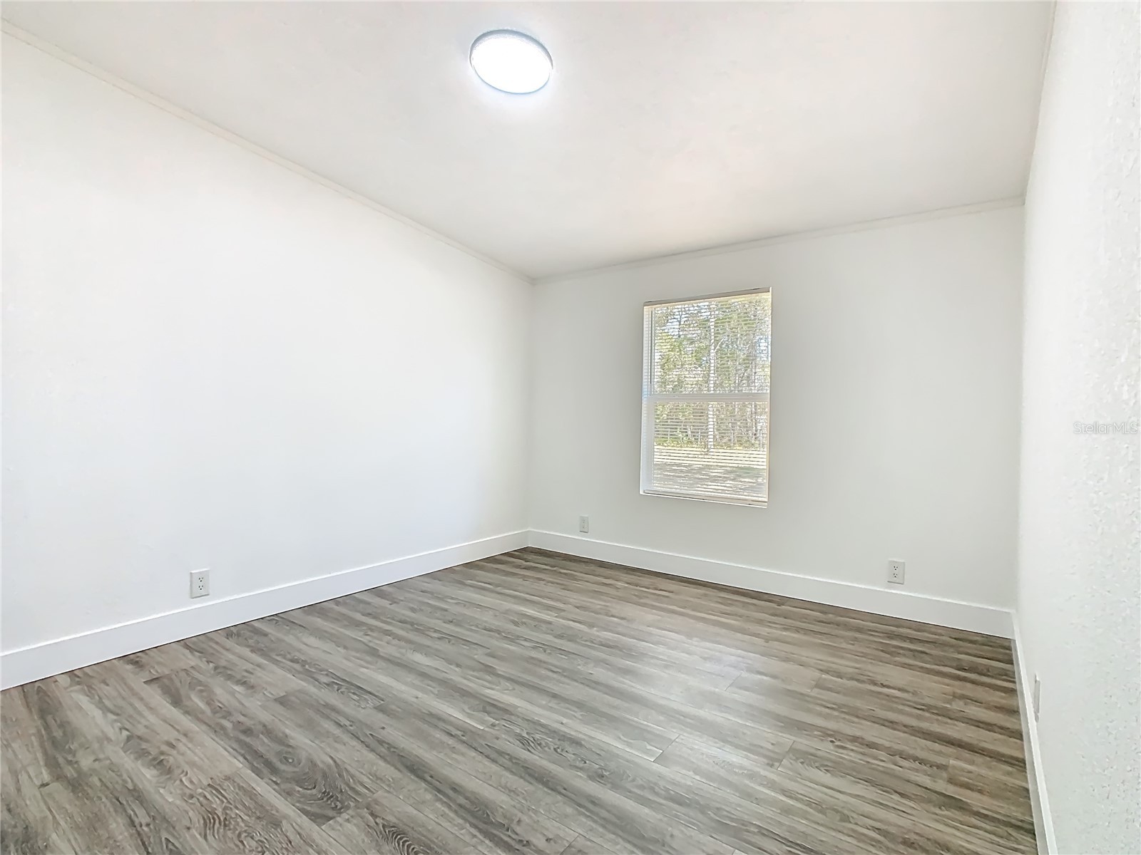 3564 Reagan Boulevard Lake Wales FL 33898 O6385906 image38