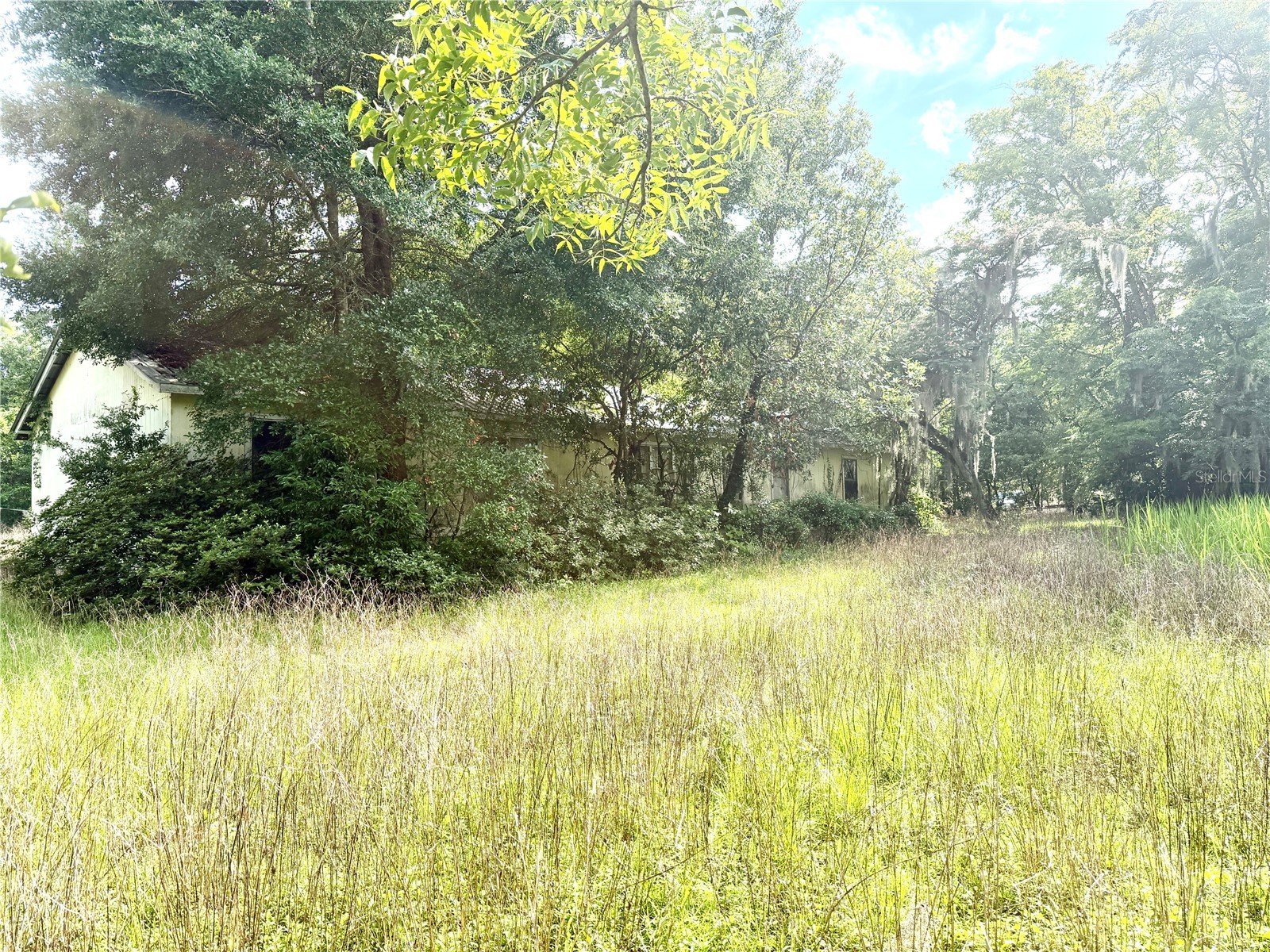 3564 SE 56th Street Ocala FL 34480 OM725755 image1