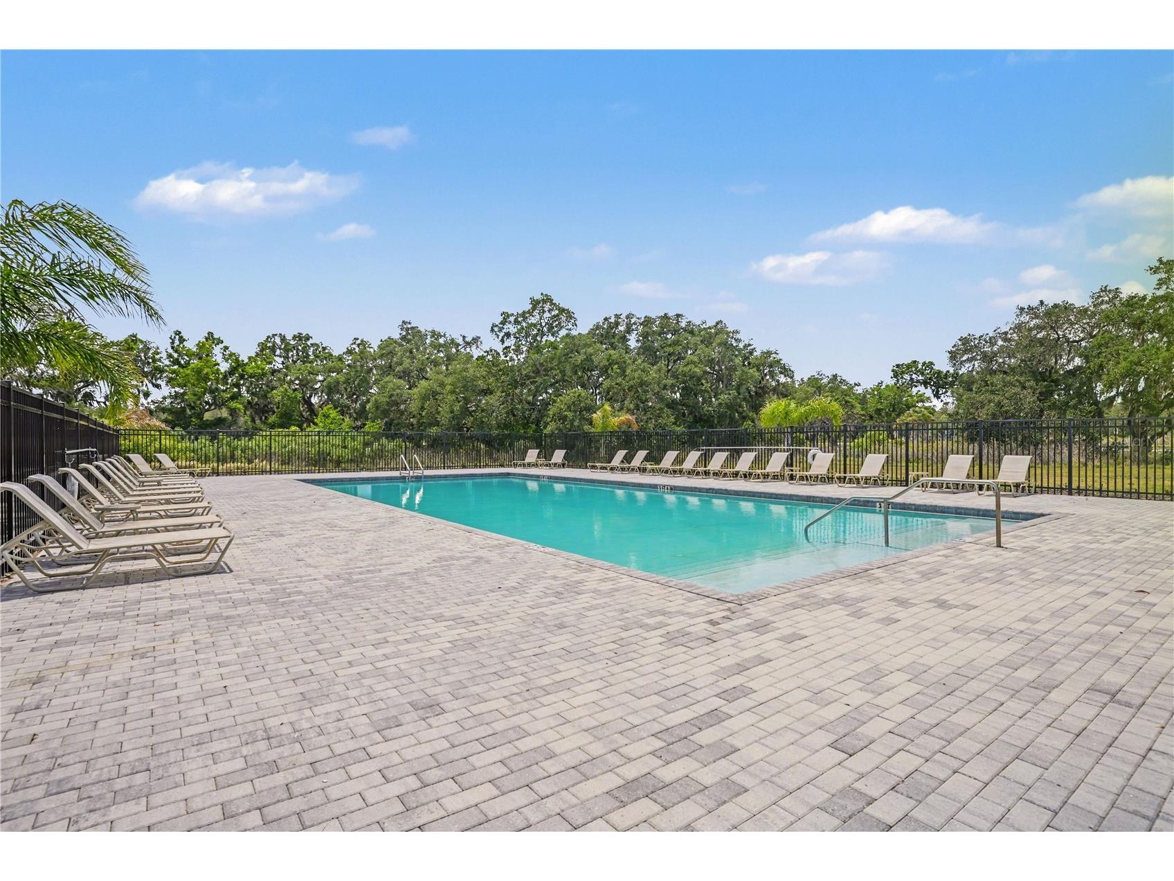 35649 Osprey Perch Lane Zephyrhills FL 33541 TB8498817 image22