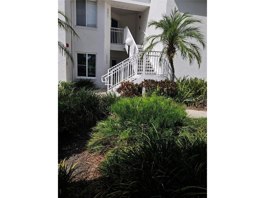 3565 Indigo Pond Drive Palm Harbor FL 34685 T3535182 image1