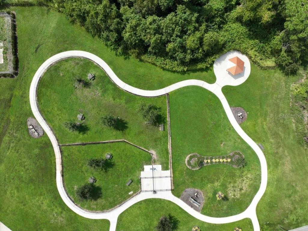 3565 Raleigh Drive Winter Haven FL 33884 P4934495 image47