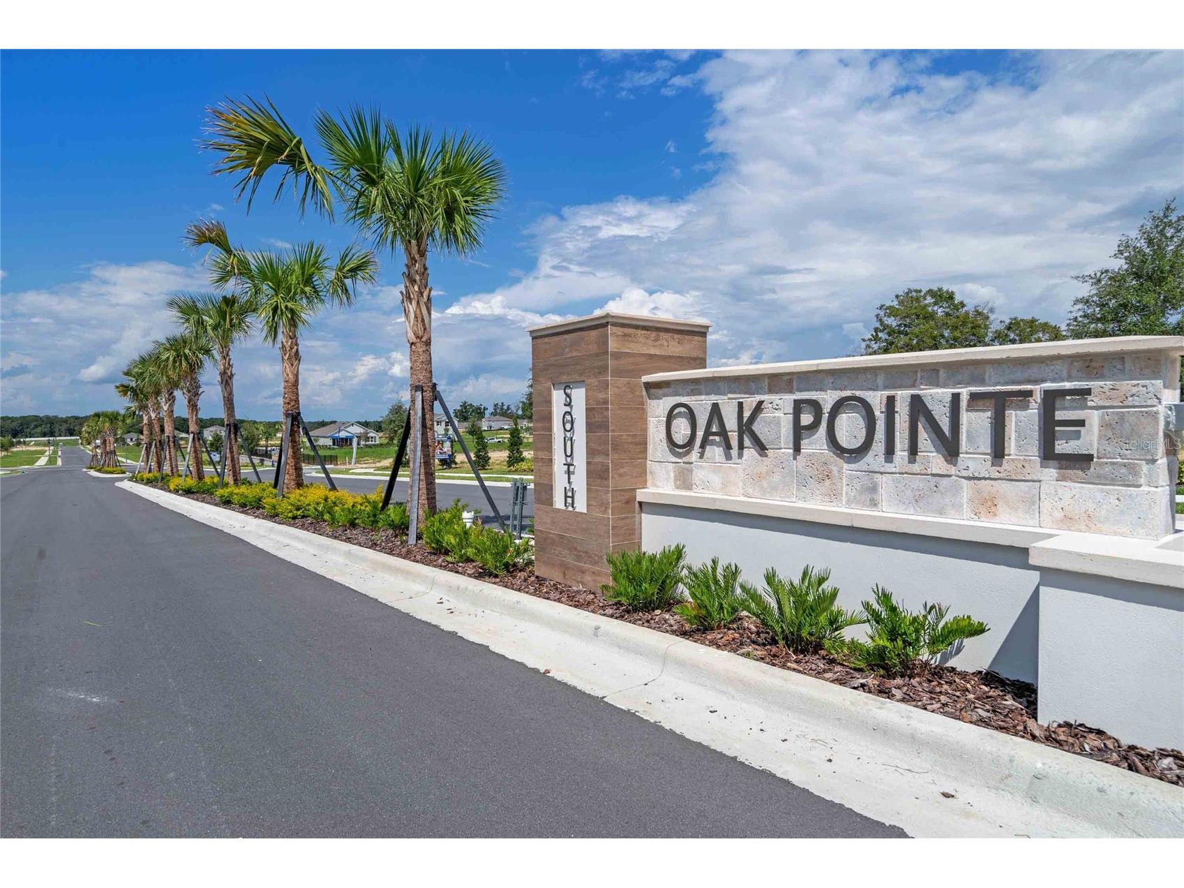 3565 Wye Oak Drive Apopka FL 32703 O6407674 image31