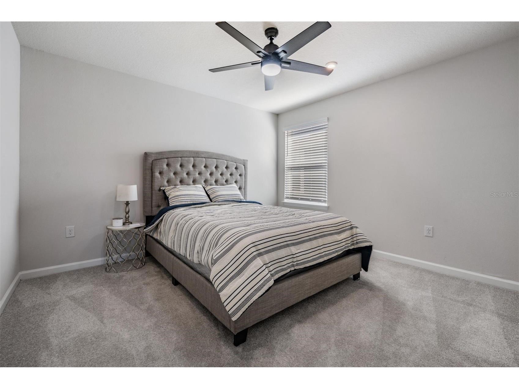 35656 Quartz Lake Drive Zephyrhills FL 33541 TB8465820 image17