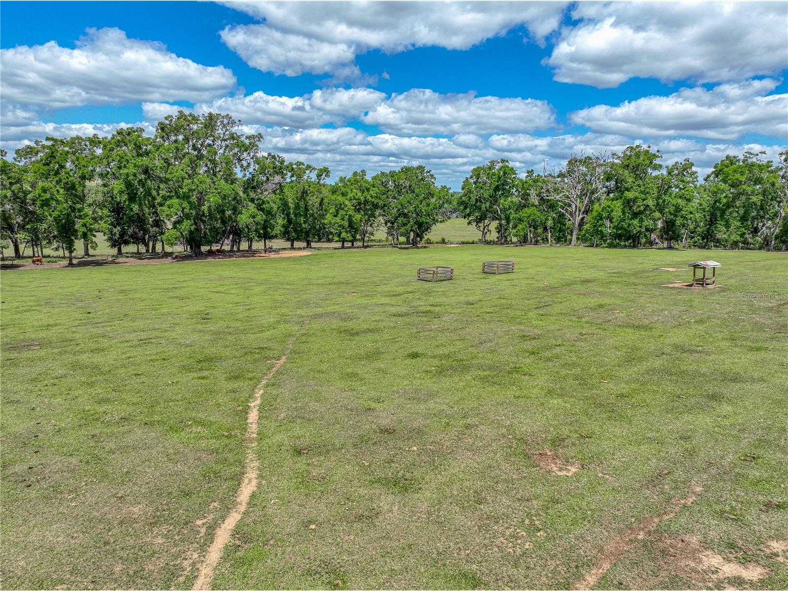 35657 Ashley Lane Dade City FL 33523 TB8375439 image58