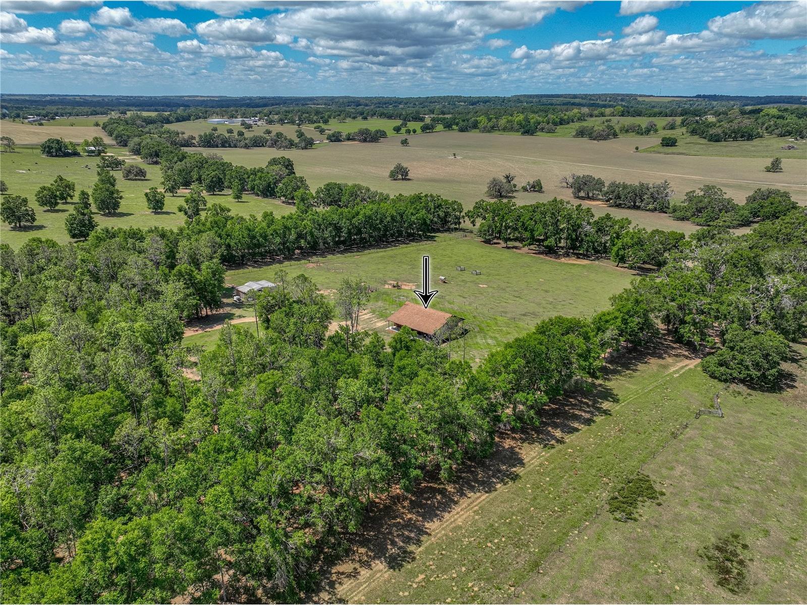 35657 Ashley Lane Dade City FL 33523 TB8375439 image65