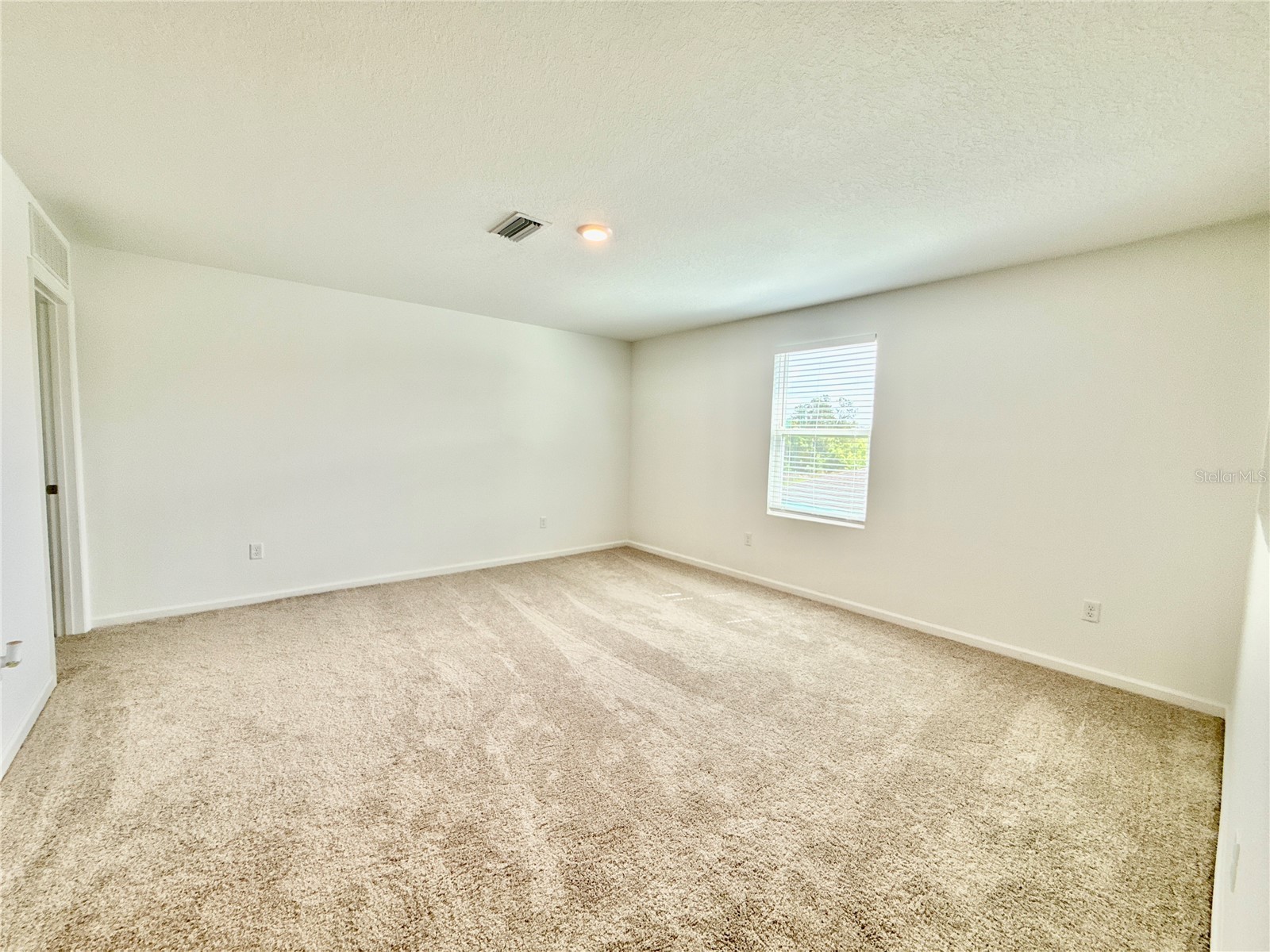 35657 Buttonweed Trail Zephyrhills FL 33541 TB8485810 image10