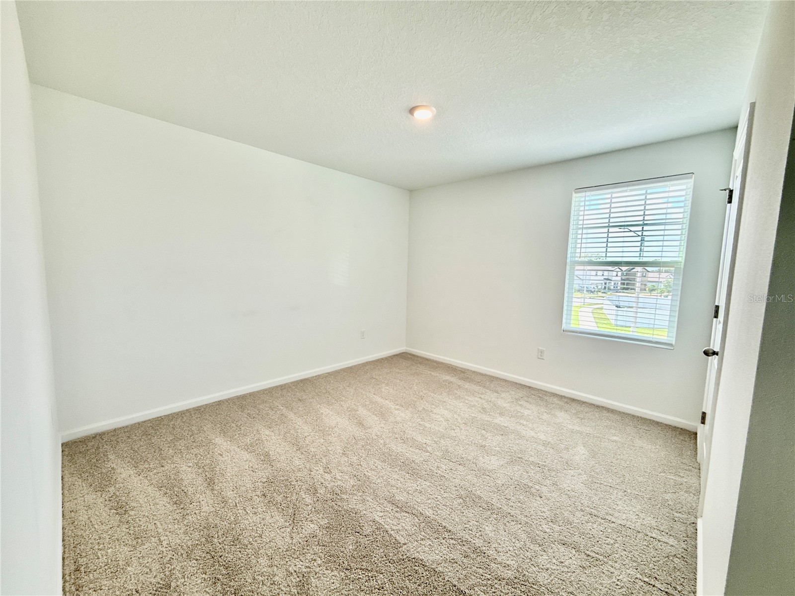 35657 Buttonweed Trail Zephyrhills FL 33541 TB8485810 image11