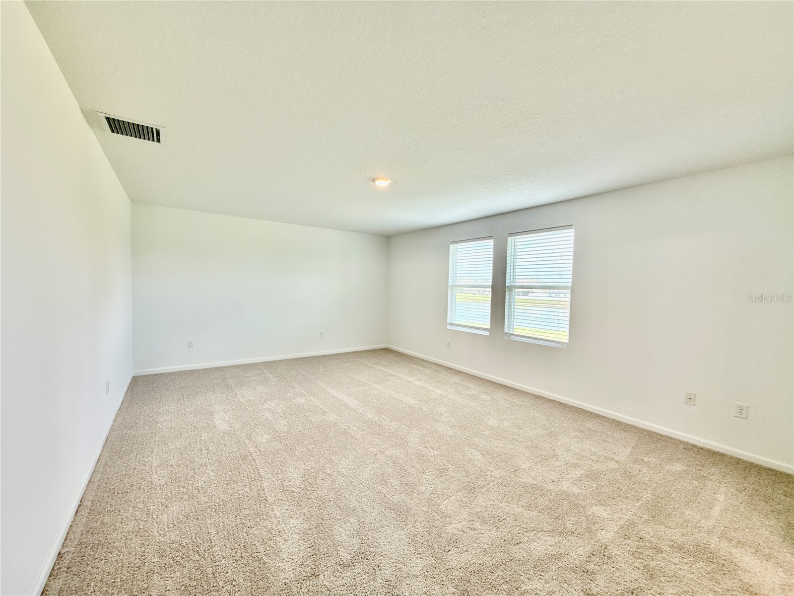 35657 Buttonweed Trail Zephyrhills FL 33541 TB8485810 image14