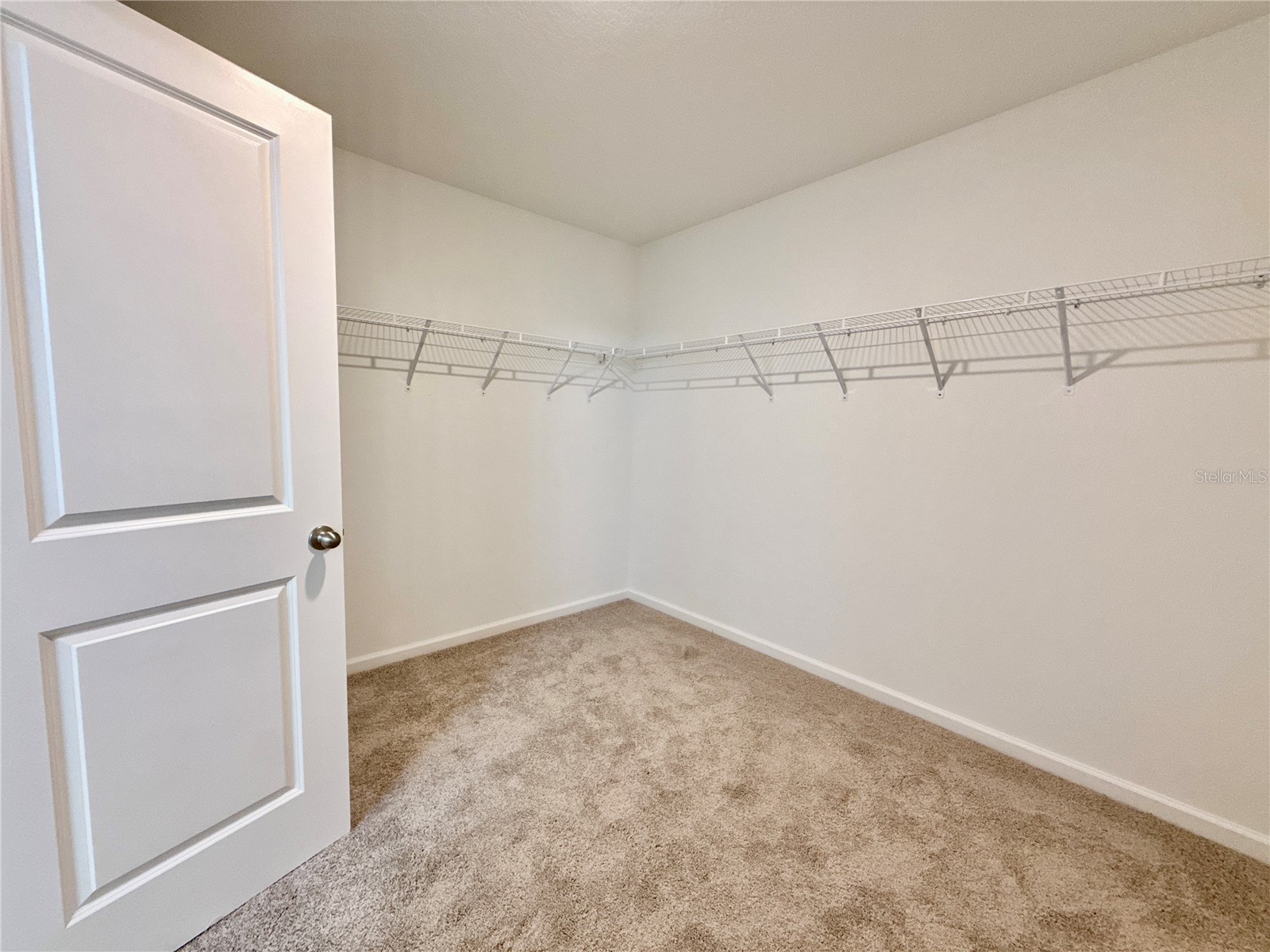 35657 Buttonweed Trail Zephyrhills FL 33541 TB8485810 image17