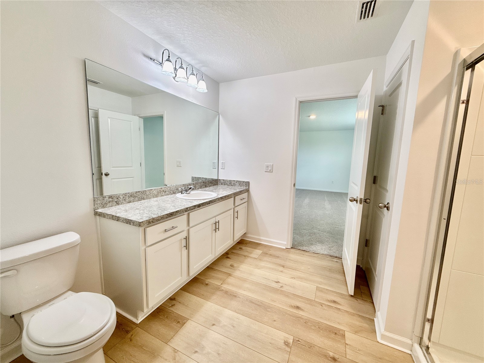 35657 Buttonweed Trail Zephyrhills FL 33541 TB8485810 image18