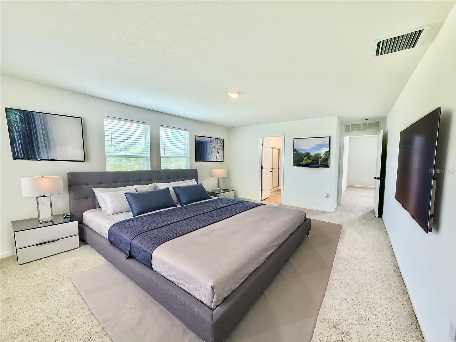 35657 Buttonweed Trail Zephyrhills FL 33541 TB8485810 image20