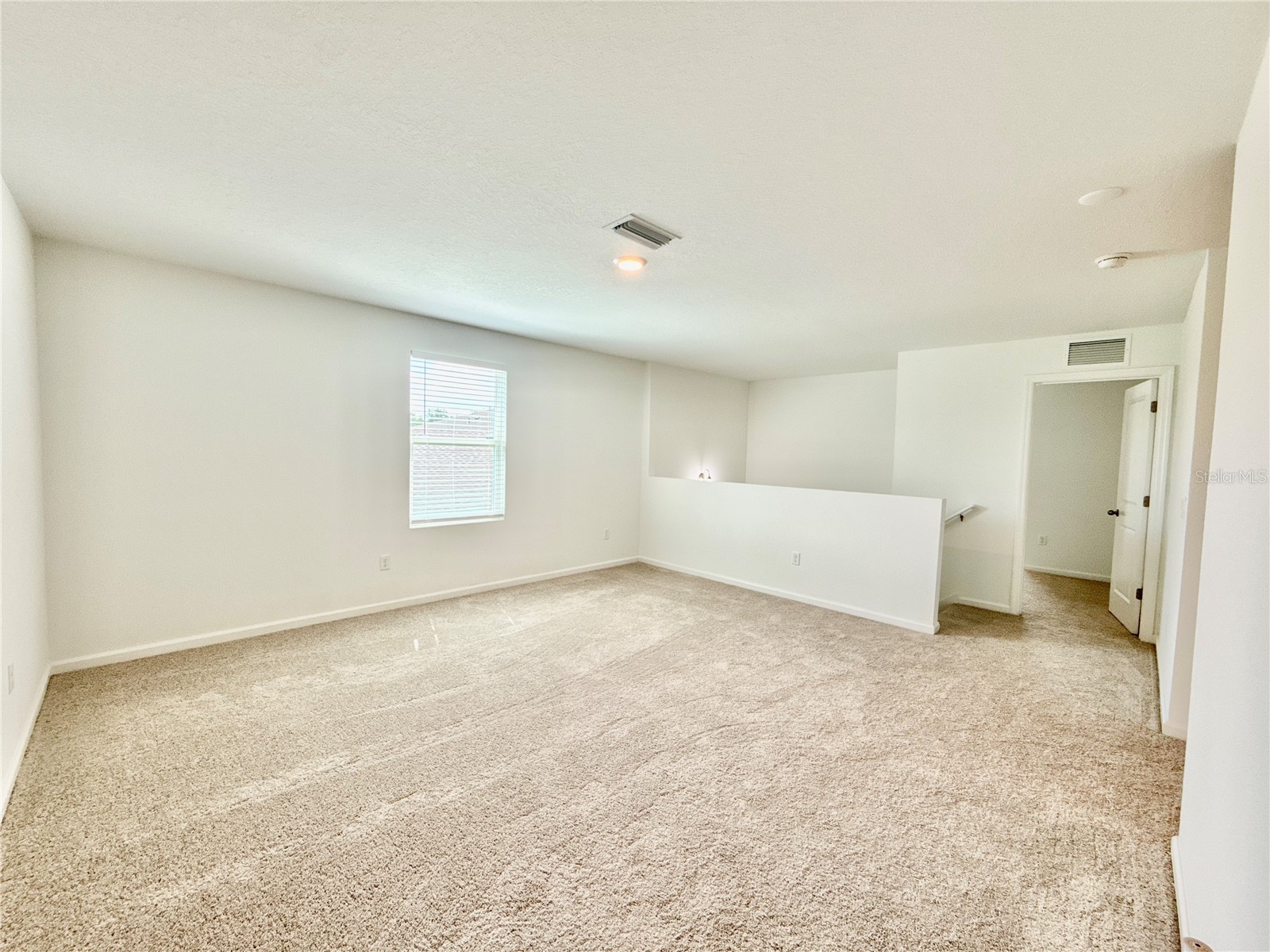 35657 Buttonweed Trail Zephyrhills FL 33541 TB8485810 image22