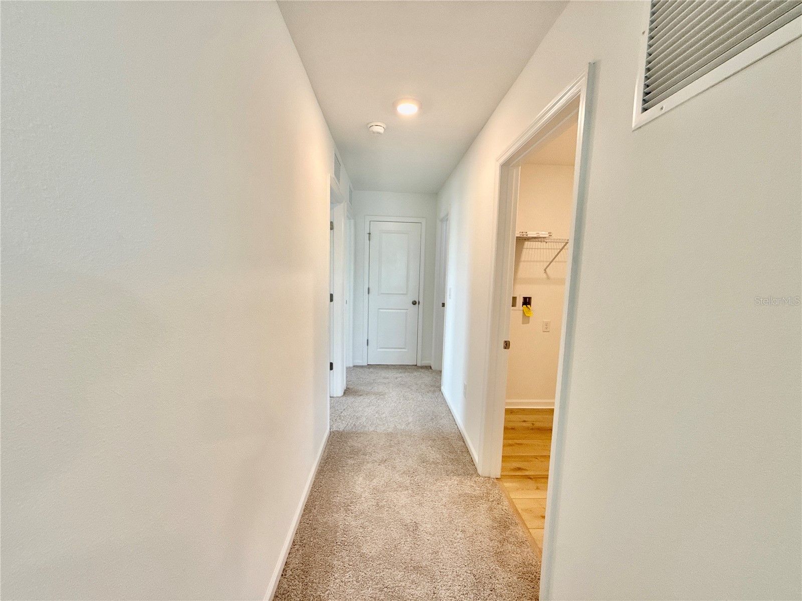 35657 Buttonweed Trail Zephyrhills FL 33541 TB8485810 image23