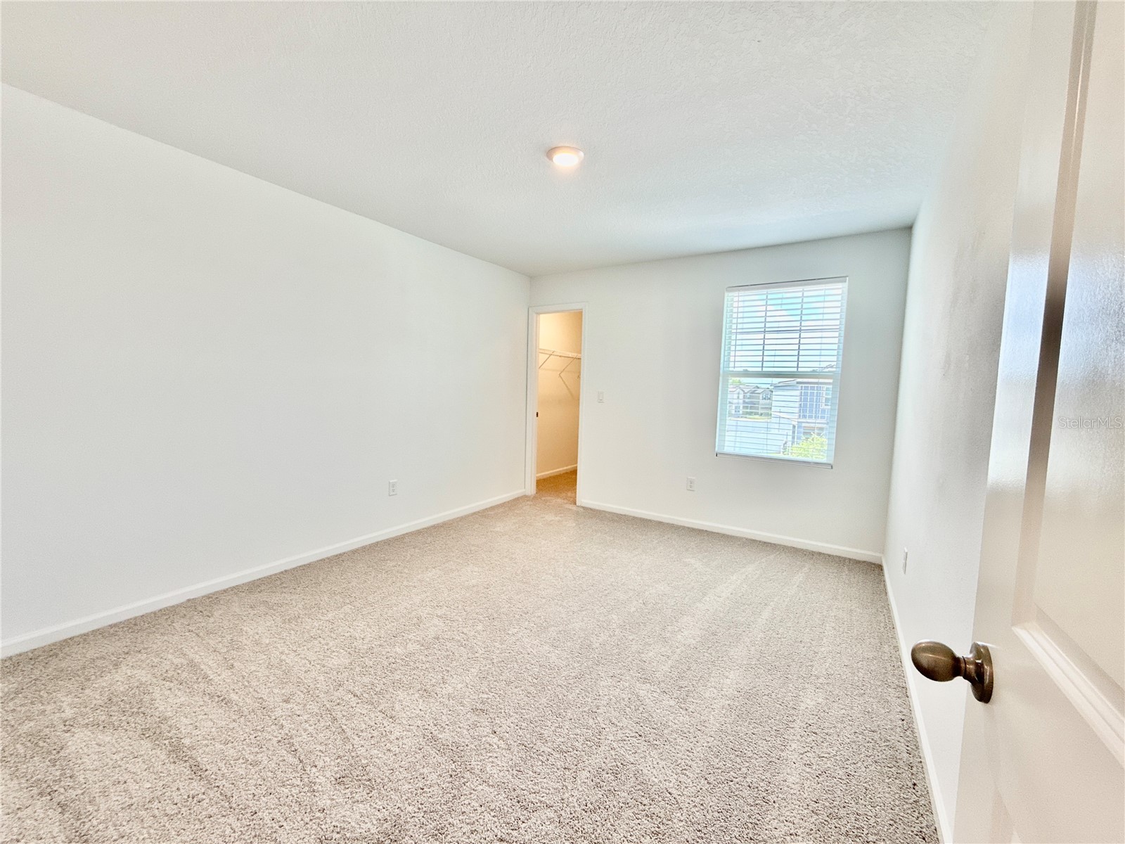 35657 Buttonweed Trail Zephyrhills FL 33541 TB8485810 image26