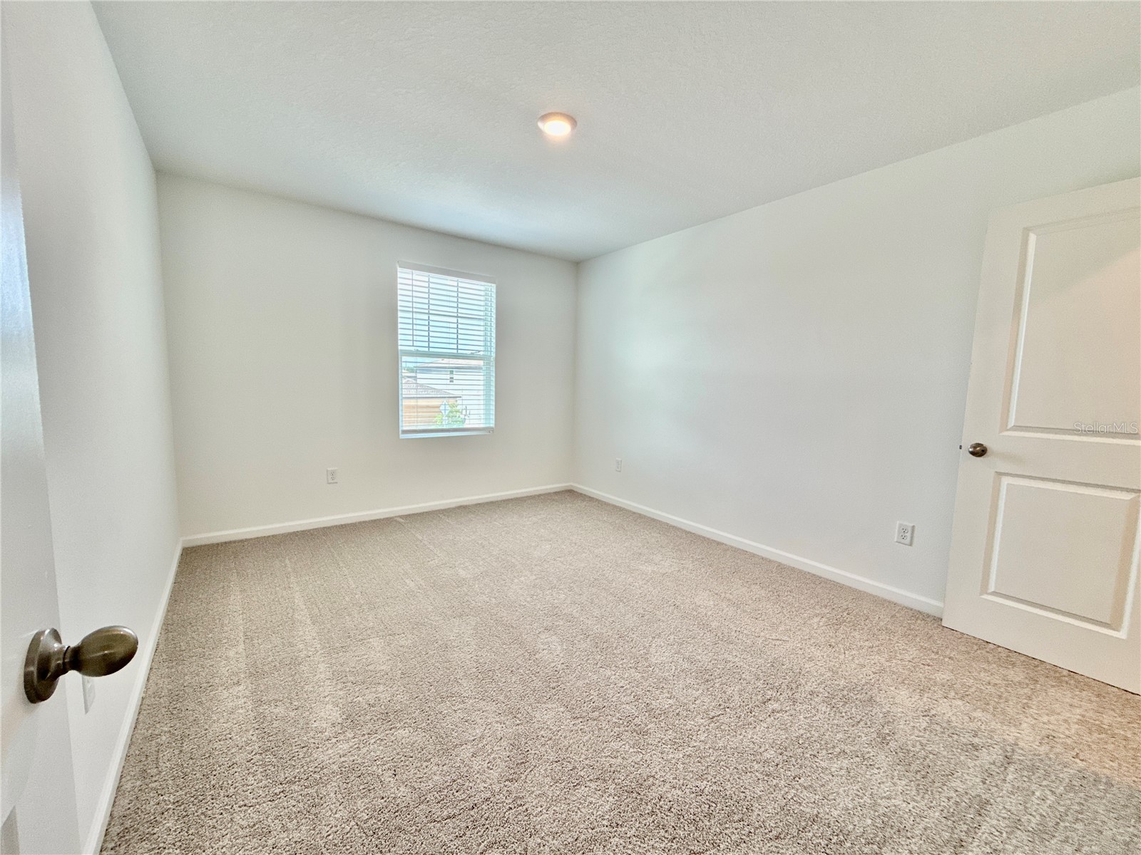 35657 Buttonweed Trail Zephyrhills FL 33541 TB8485810 image27