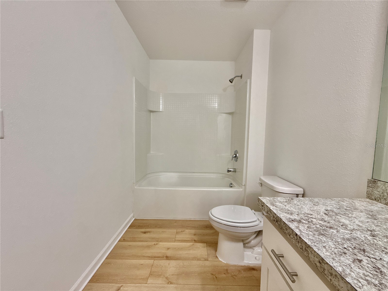 35657 Buttonweed Trail Zephyrhills FL 33541 TB8485810 image30