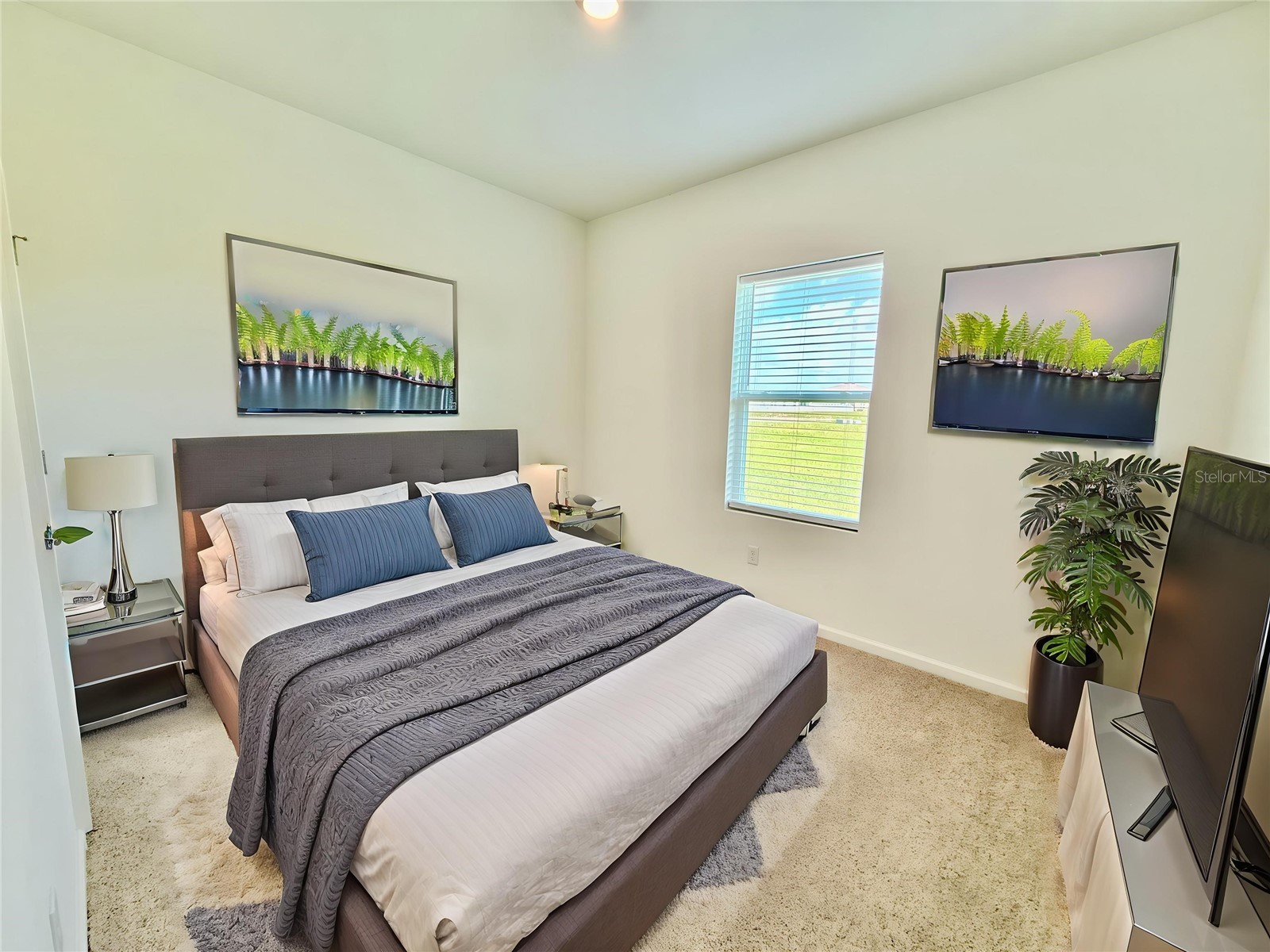 35657 Buttonweed Trail Zephyrhills FL 33541 TB8485810 image36