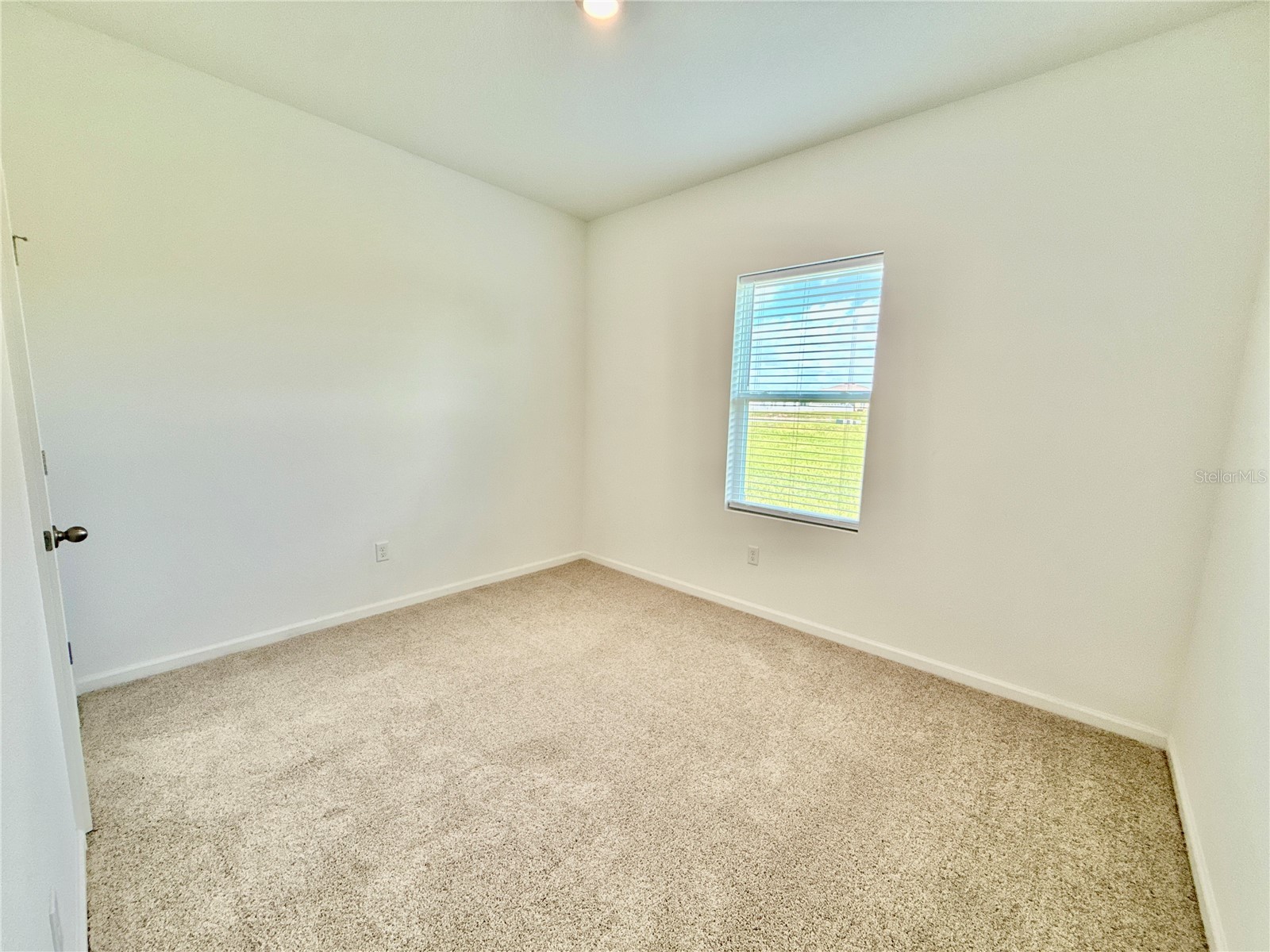 35657 Buttonweed Trail Zephyrhills FL 33541 TB8485810 image37