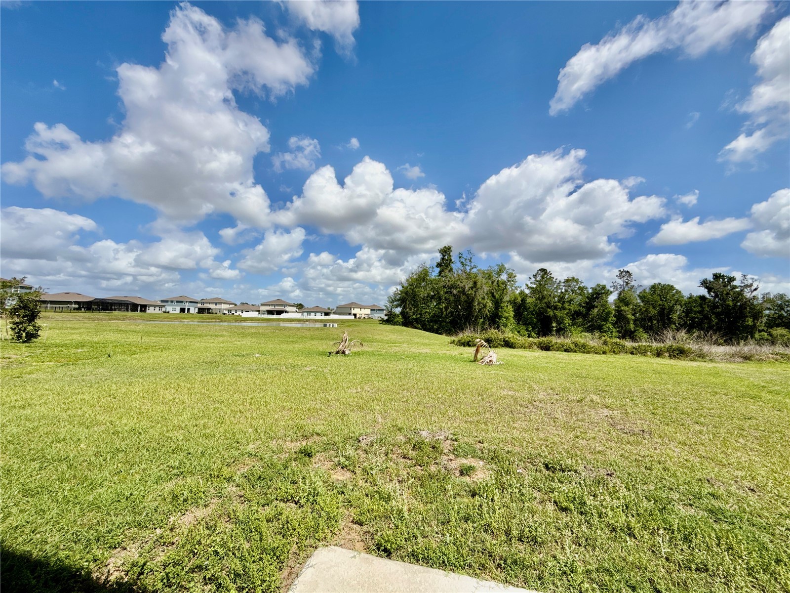 35657 Buttonweed Trail Zephyrhills FL 33541 TB8485810 image47