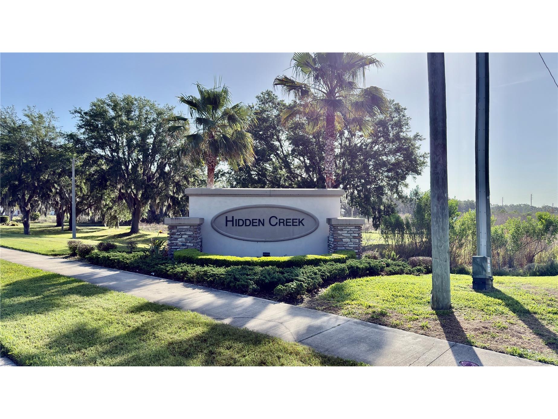 35657 Buttonweed Trail Zephyrhills FL 33541 TB8485810 image48