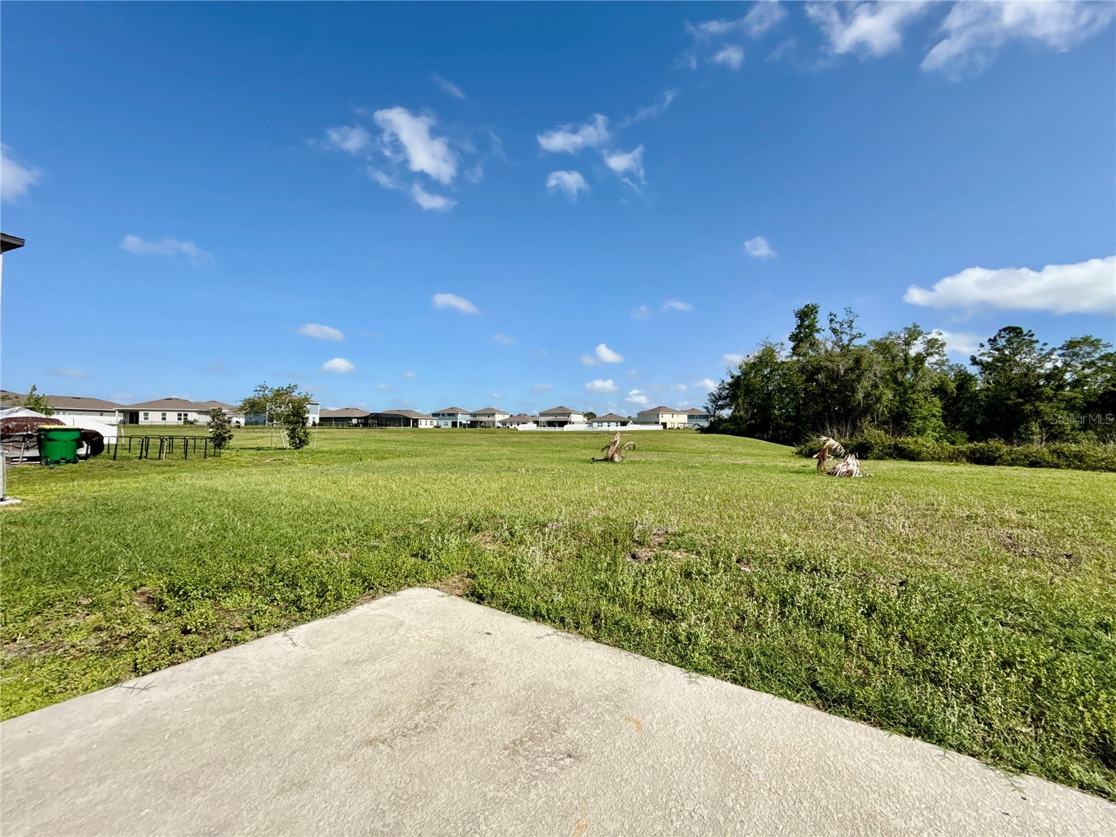35657 Buttonweed Trail Zephyrhills FL 33541 TB8485810 image5