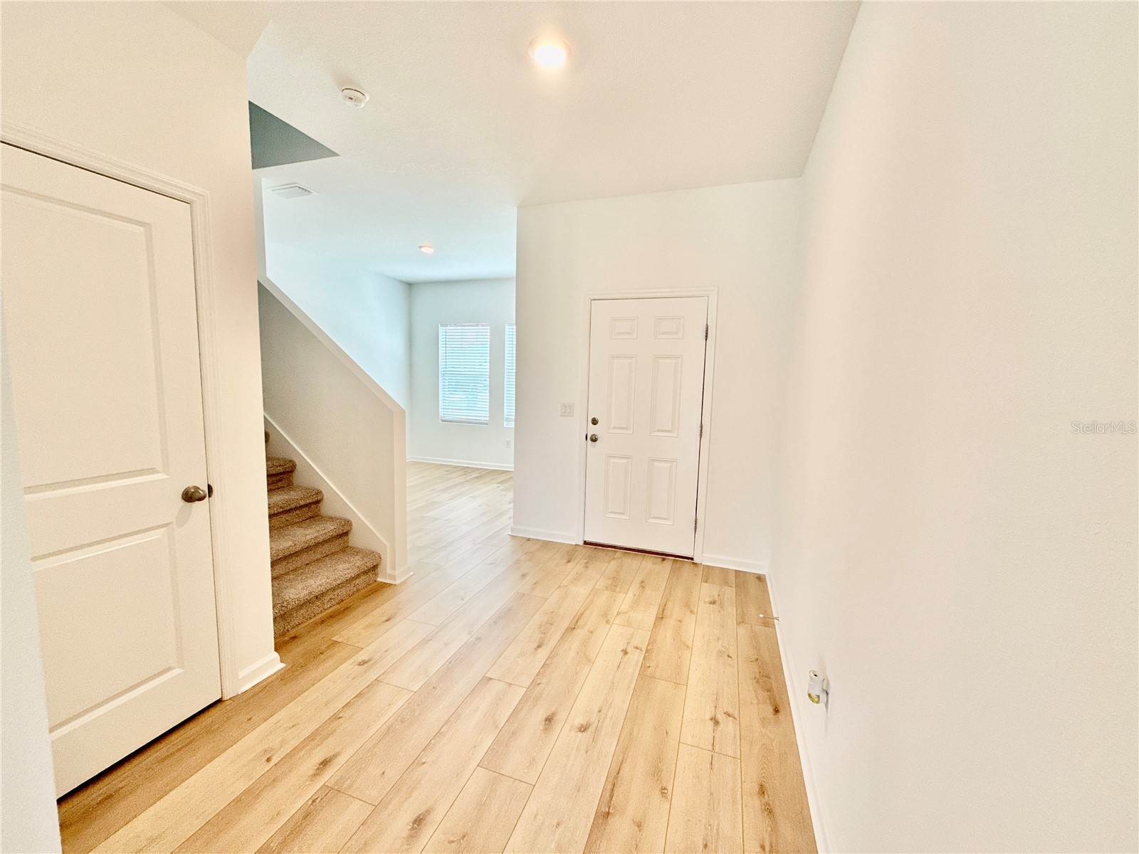 35657 Buttonweed Trail Zephyrhills FL 33541 TB8485810 image8