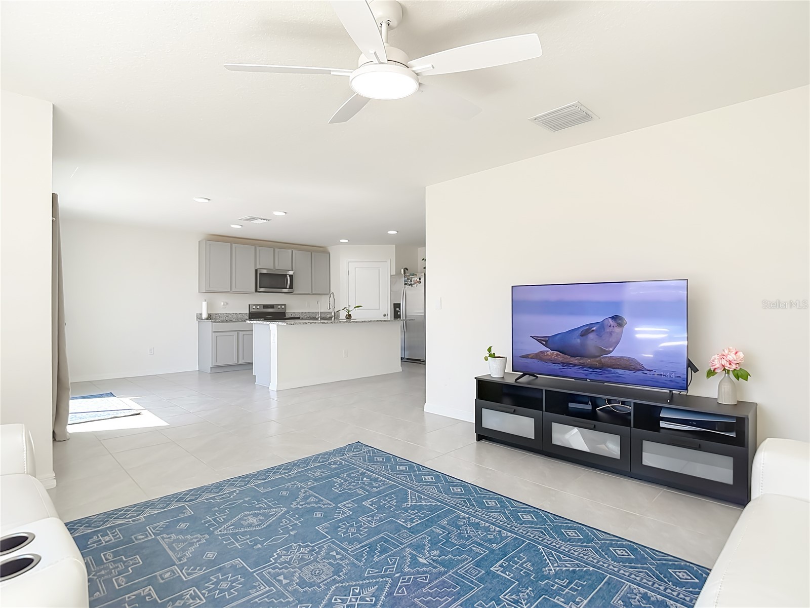 35668 Doveland Drive Zephyrhills FL 33541 TB8479892 image17