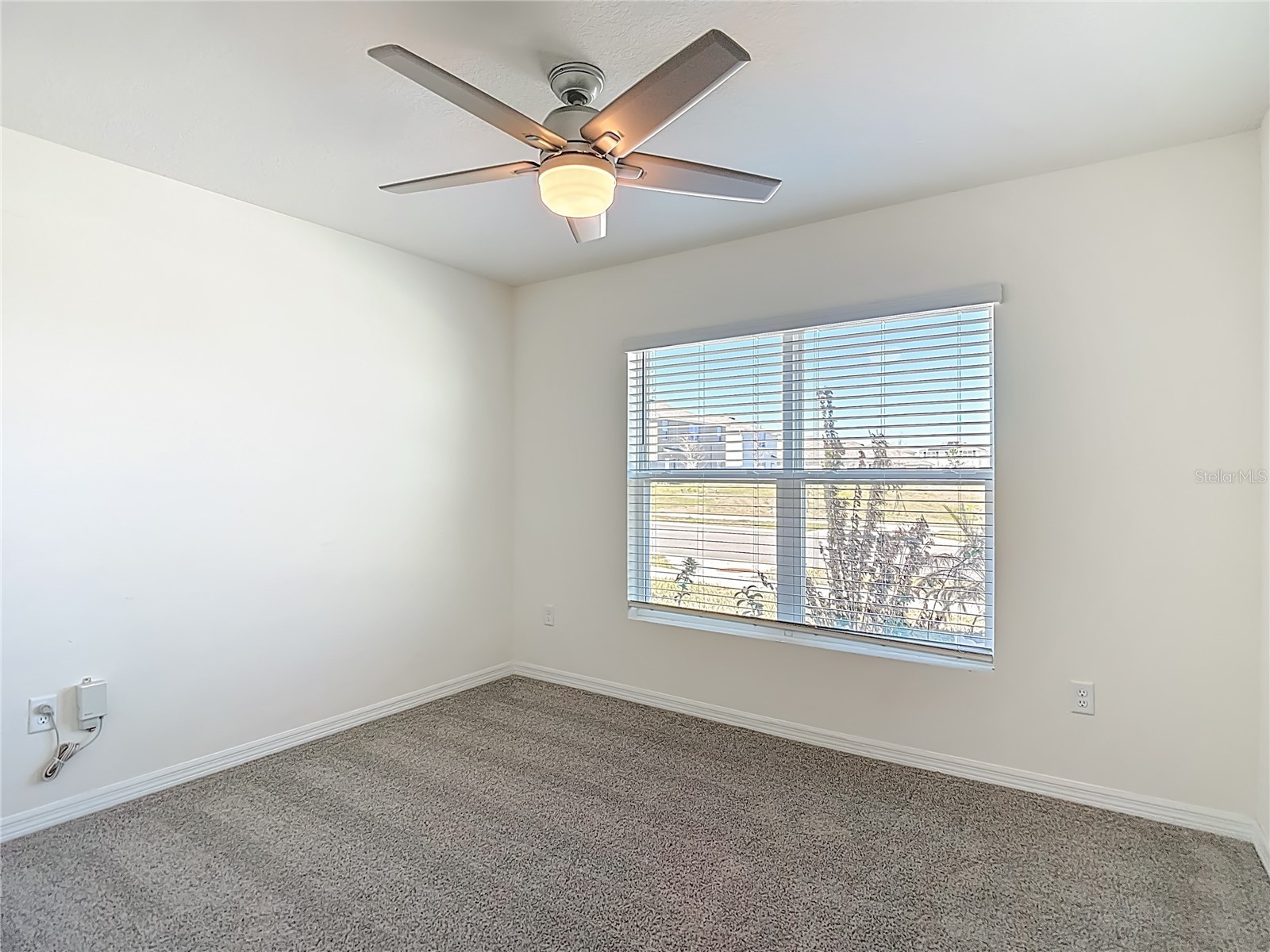 35668 Doveland Drive Zephyrhills FL 33541 TB8479892 image19