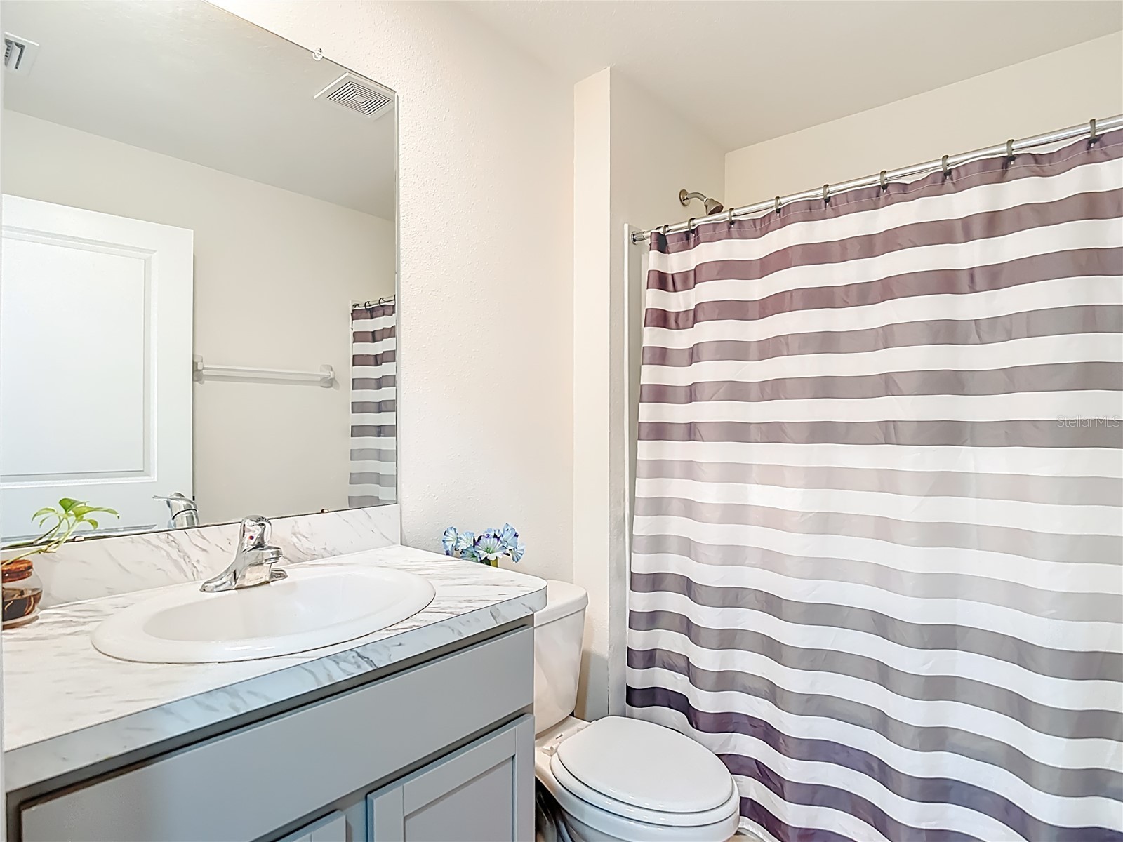 35668 Doveland Drive Zephyrhills FL 33541 TB8479892 image21