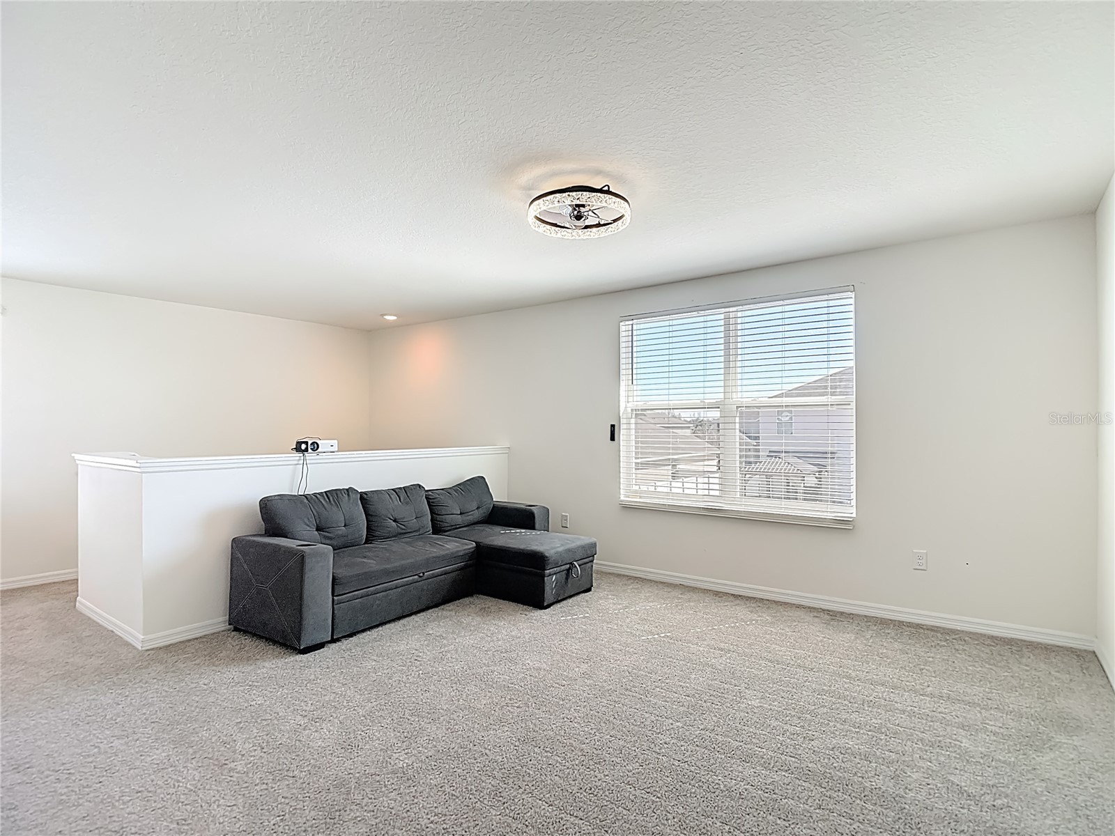 35668 Doveland Drive Zephyrhills FL 33541 TB8479892 image23