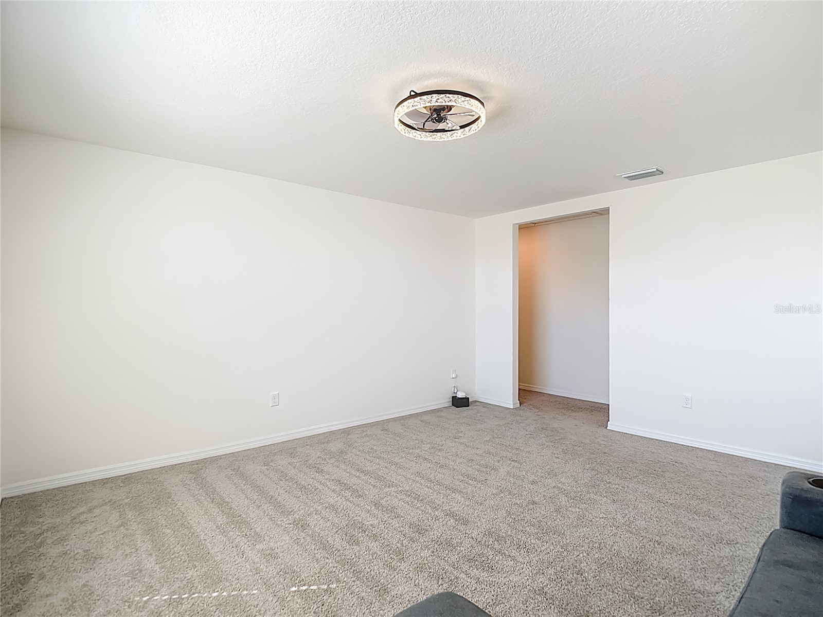 35668 Doveland Drive Zephyrhills FL 33541 TB8479892 image25