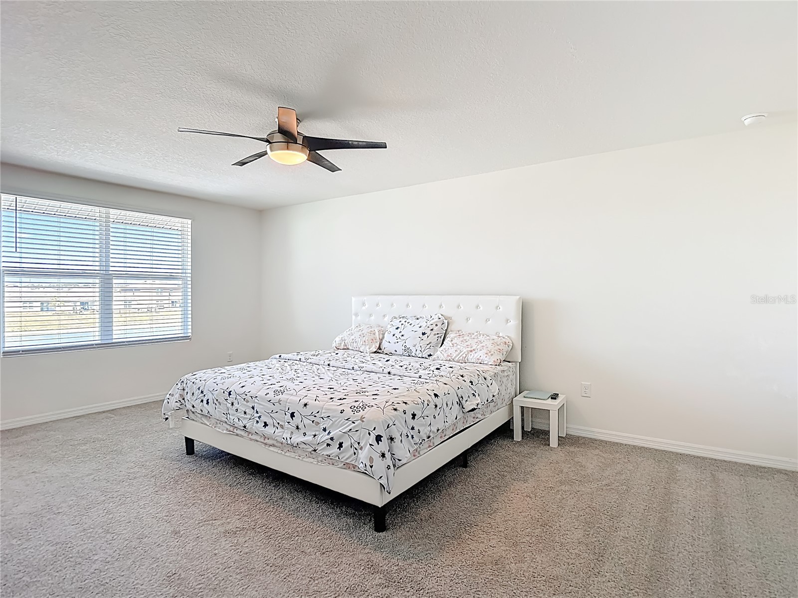 35668 Doveland Drive Zephyrhills FL 33541 TB8479892 image27