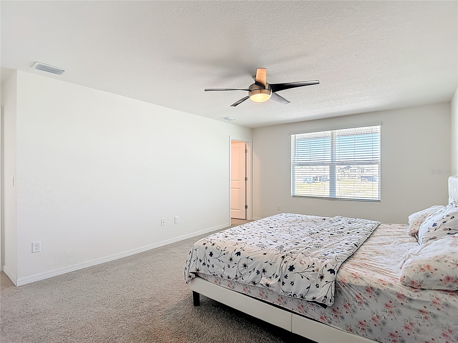 35668 Doveland Drive Zephyrhills FL 33541 TB8479892 image28