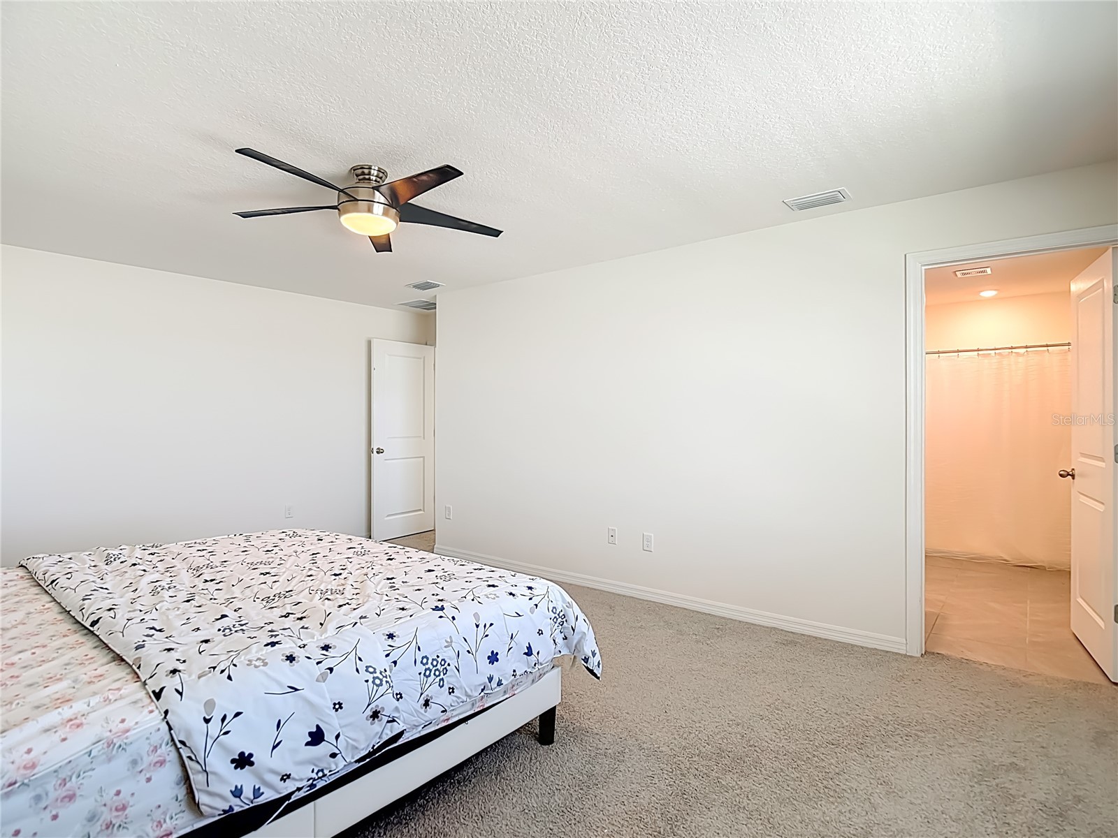 35668 Doveland Drive Zephyrhills FL 33541 TB8479892 image29