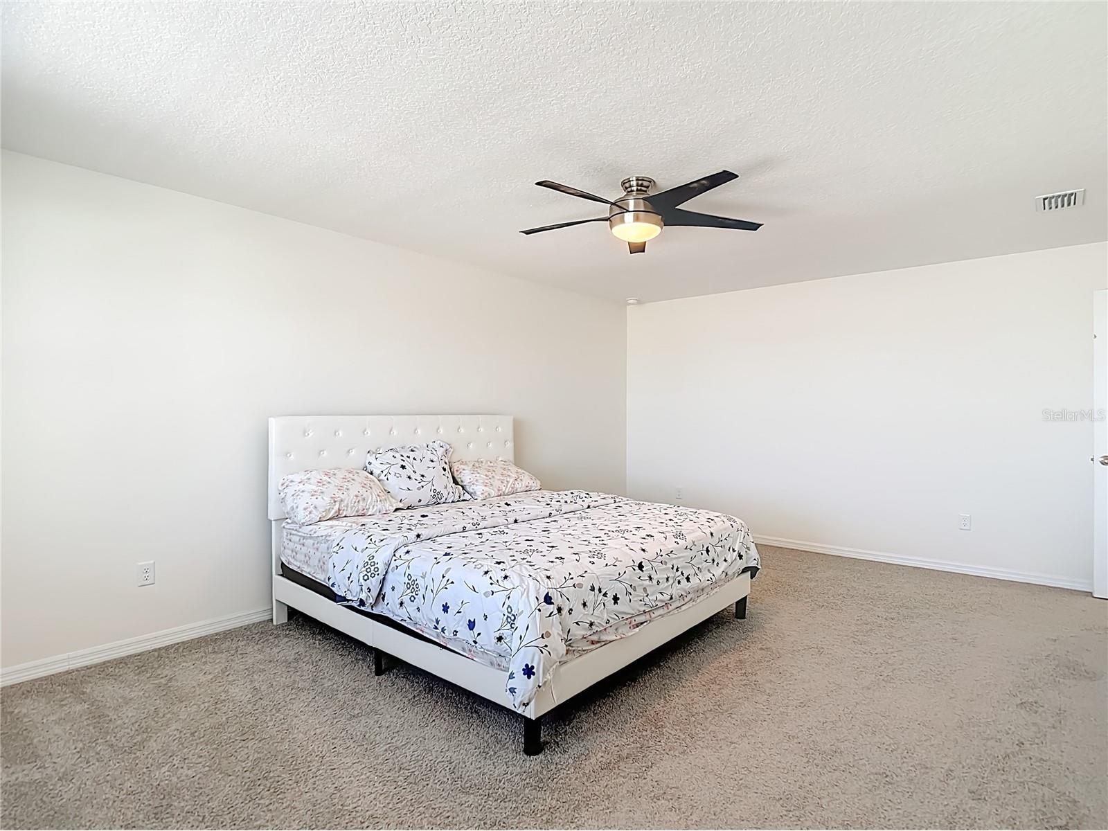 35668 Doveland Drive Zephyrhills FL 33541 TB8479892 image30